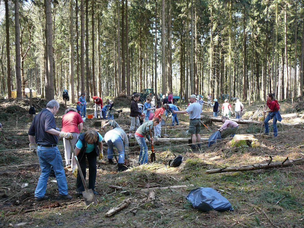Baumpflanzung als Event mit Kunden und Mitarbeitern