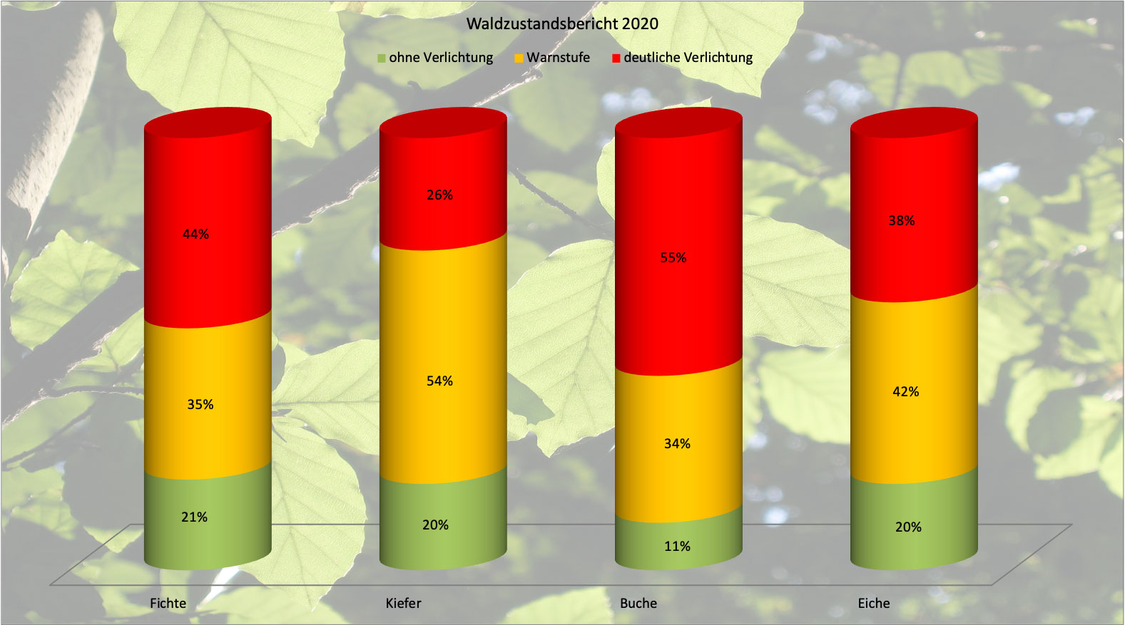 Waldzustandsbericht 2020 Deutschland