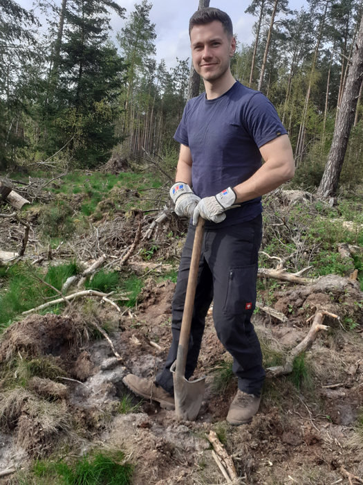 Pflanzung im Kiefernwald mit Baumspenden